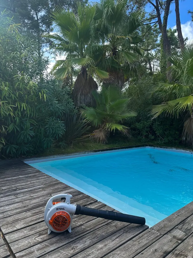 Souffleur Stihl au bord d'une piscine entourée de palmiers