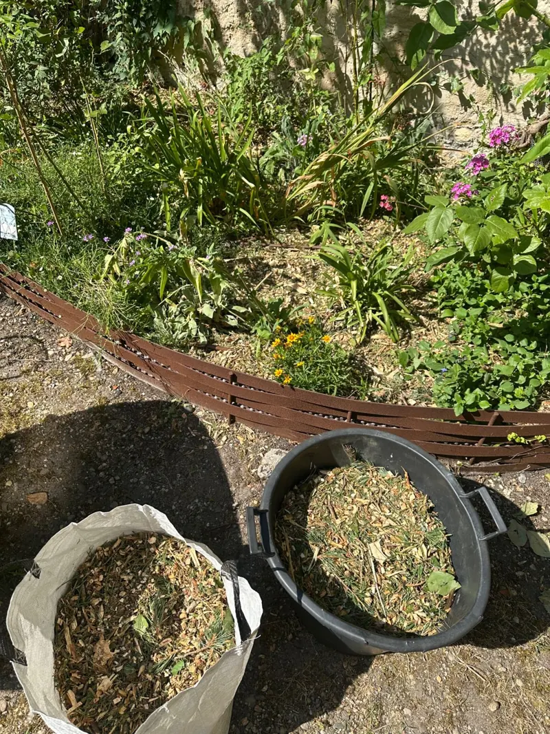 Massif avec bordure en acier et paillage de broyat