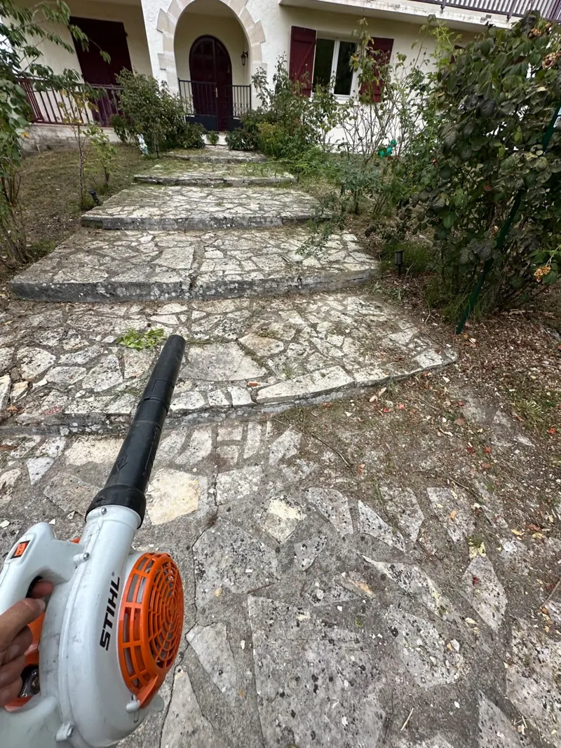 Soufflage d'un escalier en pierre devant une maison