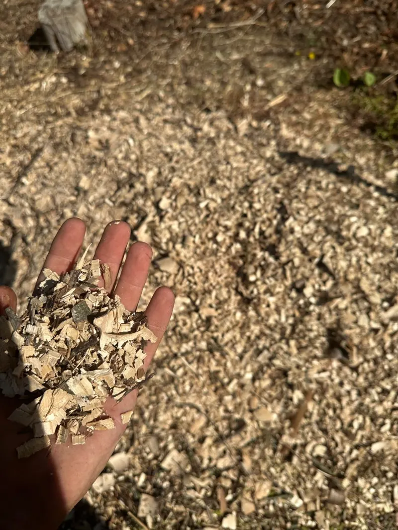 Broyat de bois épandu au pied des plantations