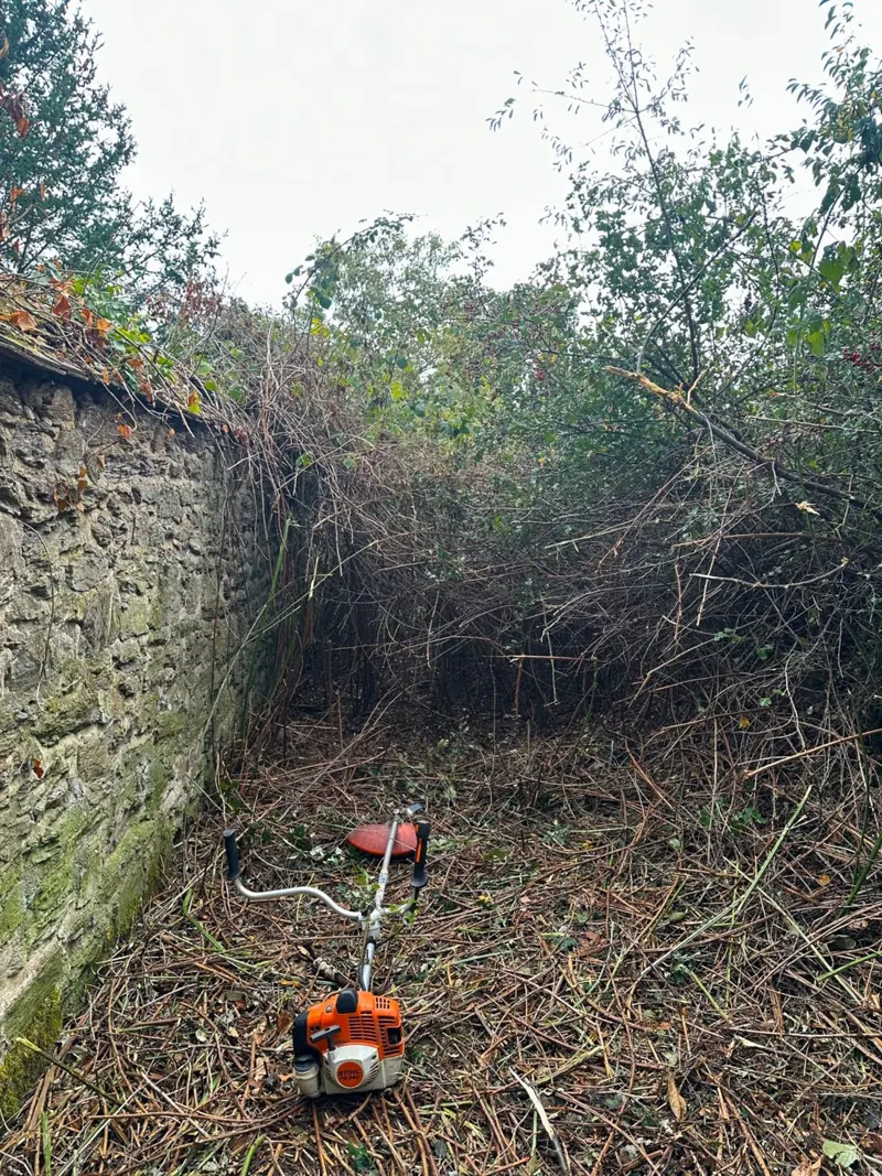 Débroussailleuse dans une zone broussailleuse contre un mur en pierre